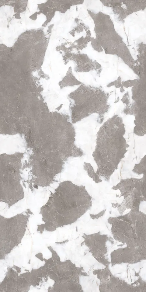 CAMEL ONYX ICE view 3